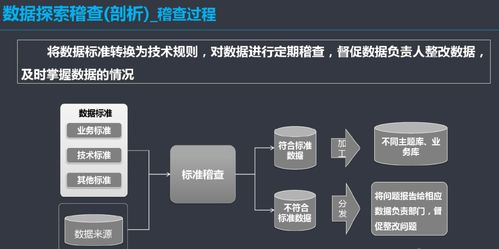 构建高效数据治理体系 信息系统集成服务视角下的实施方案